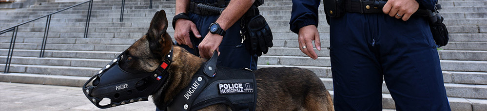 Dogart - harnais et muselières pour chiens et brigade canine (K9)